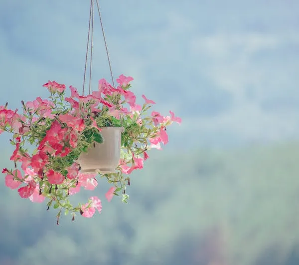 Calm nature scene representing balance and wellbeing