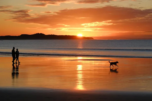 Person walking along an Australian coastal trail at sunrise
